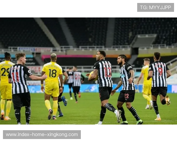 布伦特福德与纽卡斯尔联对决前球员动态及伤病情况分析 布伦特福德与纽卡斯尔联对决前球员动态及伤病情况分析