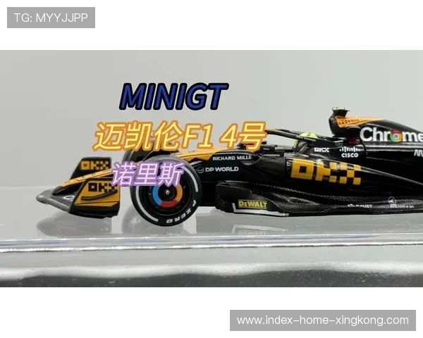 诺里斯完成长距离模拟,车队称数据“稳定可靠” 诺里斯完成长距离模拟,车队称数据“稳定可靠”