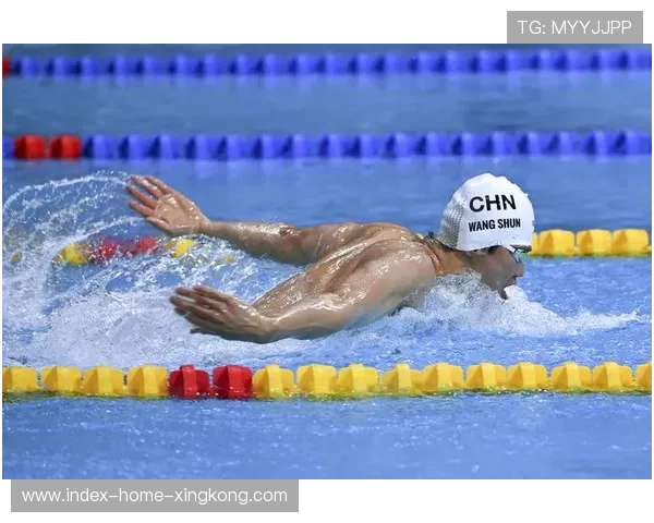 混合泳选手四种泳姿平衡良好，打造全能泳者