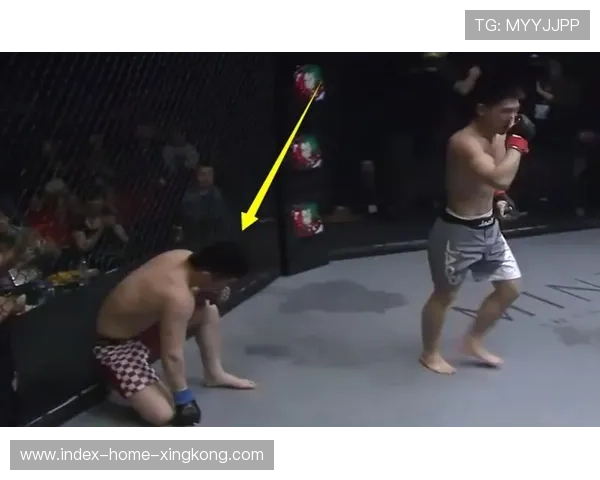 UFC裁判吃误拳，全场立即爆笑