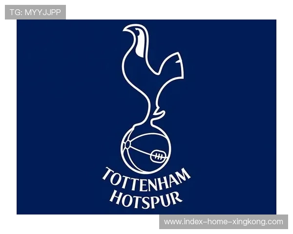 热刺反击三人连线完成致命传球：速度、默契与技术的极致演绎